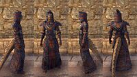 ON-item-armor-Argonian Light Robe 4 Male.jpg