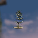 Tall Cedar Tree