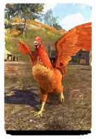ON-card-Crusader's Coin Chicken.png