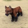 ON-pet-Red Pit Wolf Pup.jpg