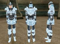 BM-item-Ice Armor Female.jpg