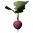 BS5-icon-food-Radish.png