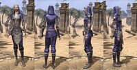 ON-item-armor-Breton Light Jerkin 4 Female.jpg