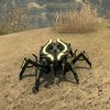 ON-pet-Solar Arc Dwarven Spider.jpg