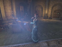 On-quest-A Hireling of House Telvanni 02.jpg