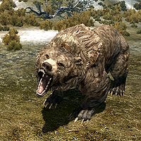 SR-creature-Cave Bear.jpg