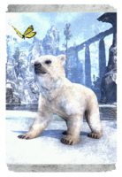 ON-card-Snow Bear Cub.png