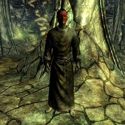 Skyrim Dremora Merchant The Unofficial Elder Scrolls Pages UESP   400px SR Npc Dremora Merchant 