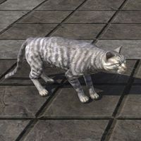 ON-furnishing-Senchal Striped Cat.jpg