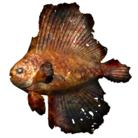 SR-icon-food-Cooked Spadefish.png