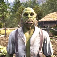 OBR-npc-Shagol gro-Bumph 02.jpg