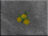 DF-icon-ingredient-Yellow berries.png