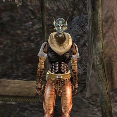 Morrowind:Assantus Hansar - The Unofficial Elder Scrolls Pages (UESP)