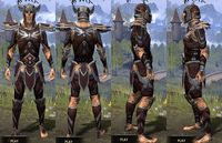 ON-item-armor-Full-Leather-Altmer-Male.jpg