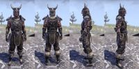 ON-item-armor-Nord Medium 3 Male.jpg
