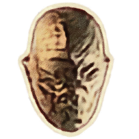 OBR-icon-misc-Angry Mind.png