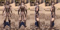 ON-item-armor-Breton Medium 1 Male.jpg