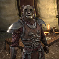 Online:Sergeant Kamu - The Unofficial Elder Scrolls Pages ...