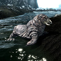 Skyrim:Horker - The Unofficial Elder Scrolls Pages (UESP)