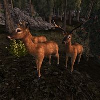 TD3-creature-Deer.jpg