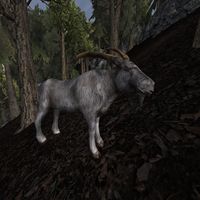 TD3-creature-Mountain Goat.jpg