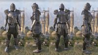 ON-item-armor-Ascendant Knight 02.jpg
