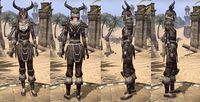 ON-item-armor-Full-Leather-Nord-Female.jpg