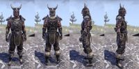 ON-item-armor-Leather-Nord-Male.jpg