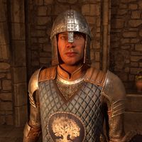 OBR-npc-Chorrol Bodyguard 02.jpg