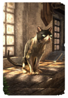 ON-card-Piebald Cat.png