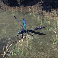ON-creature-Dragonfly.jpg