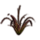 ON-icon-furnishing-Plant, Red Aloe Succulent.png