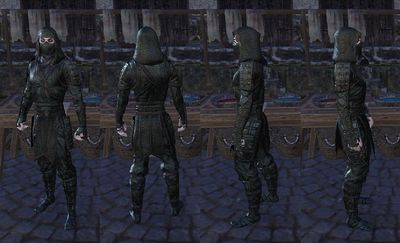 Online:Akaviri Style - The Unofficial Elder Scrolls Pages (UESP)