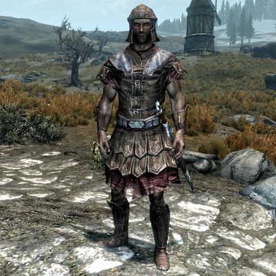 Skyrim:Roadside Guard - The Unofficial Elder Scrolls Pages (UESP)