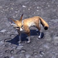 ON-creature-Fennec Fox.jpg