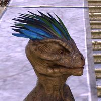 ON-hairstyle-Feathered Kelp-Scalp 02.jpg