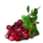 ON-icon-food-Snowberry.png