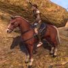 ON-mount-Riverhold Chestnut Horse.jpg