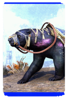 ON-card-Star-Born Guardian Bear.png