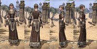 ON-item-armor-Cotton-Robe-Nord-Female.jpg