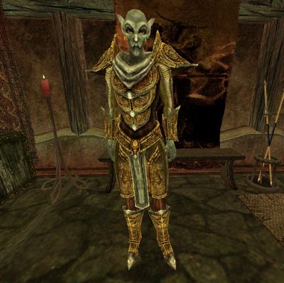 Tamriel Rebuilt:Neras Hardil - The Unofficial Elder Scrolls Pages (UESP)