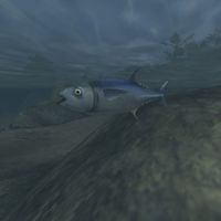 TD3-creature-Stridfish.jpg