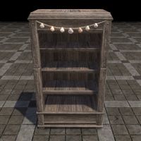 ON-furnishing-Druidic Bookcase, Tall Wood.jpg