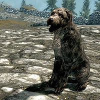 do dogs respawn in skyrim