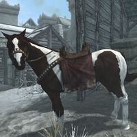 BS5C-creature-Paint Horse 02.jpg
