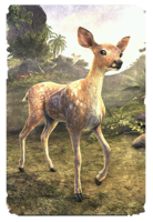 ON-card-Fawn.png
