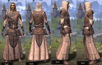 ON-item-armor-Linen-Robe-Altmer-Male.jpg