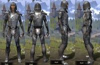 ON-item-armor-Steel-Altmer-Male.jpg