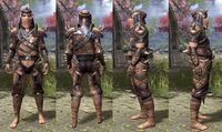 ON-item-armor-Wood Elf Medium 4 Male.jpg