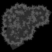 SR-map-Misty Grove.jpg